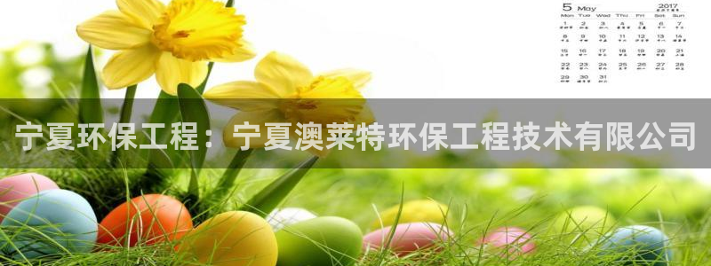 彩名堂免费计划下载：宁夏环保工程：宁