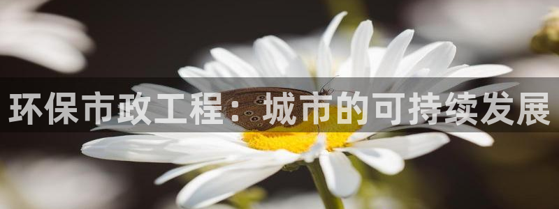 彩名堂免费计划5.0使用方法是什么：