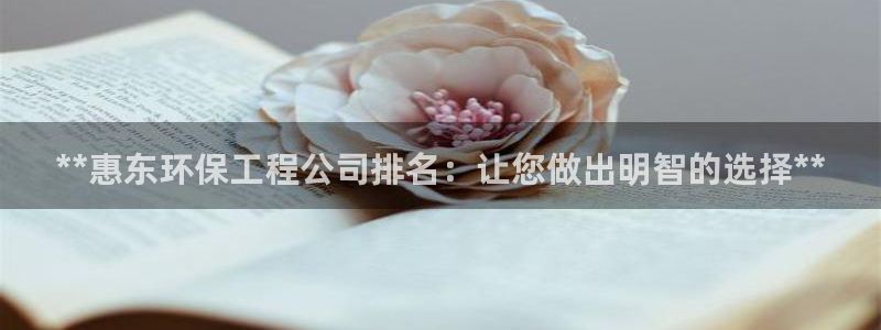 彩名堂计划怎么出的：**惠东环保工程