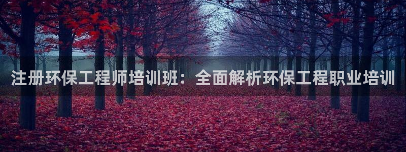 彩名堂3d：注册环保工程师培训班：全