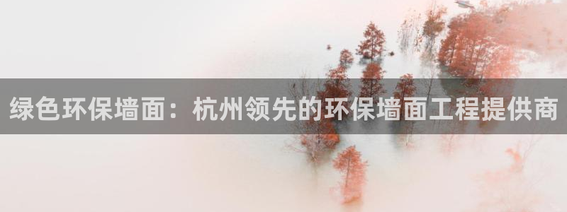 cmt彩名堂：绿色环保墙面：杭州领先