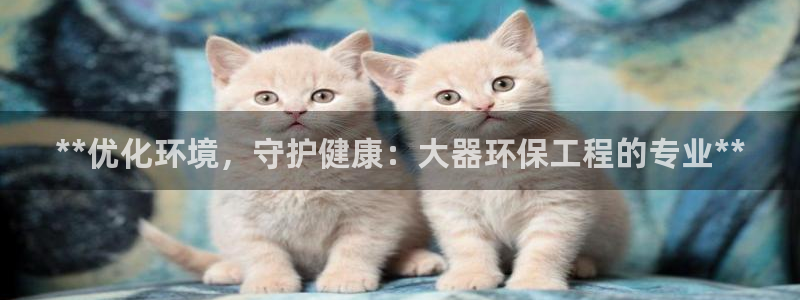 彩名堂app2.05版本：**优化环