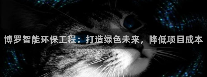 彩名堂计划怎么出的：博罗智能环保工程：打造绿色未来，降低项目