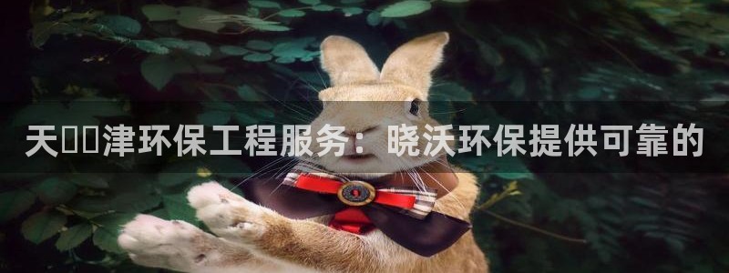 彩名堂用不了：天​​津环保工程服务：