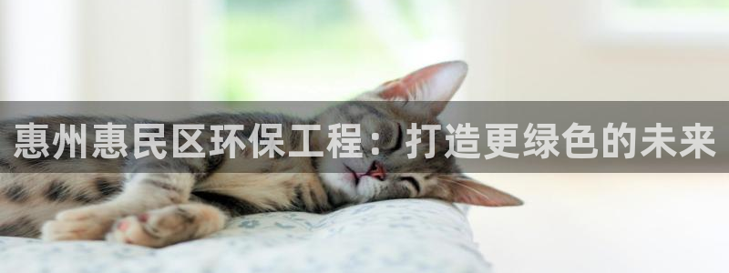 彩名堂全天计划：惠州惠民区环保工程：打造更绿色的未来