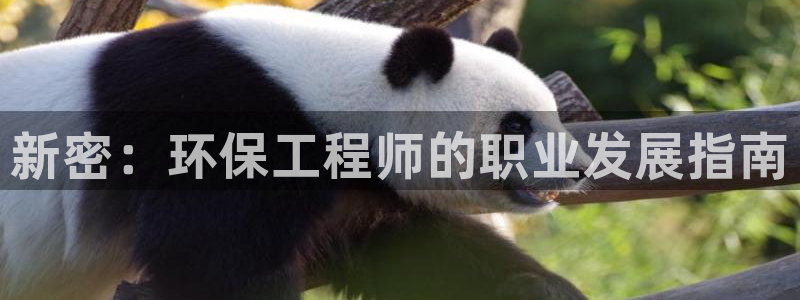 彩名堂怎么跟计划才不连挂在一起：新密