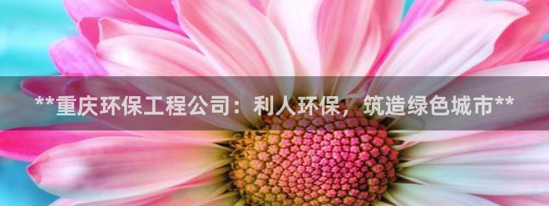 彩名堂是什么：**重庆环保工程公司：利人环保，筑造绿色城市*